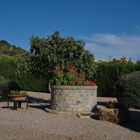 Basilio 콘스탄티나