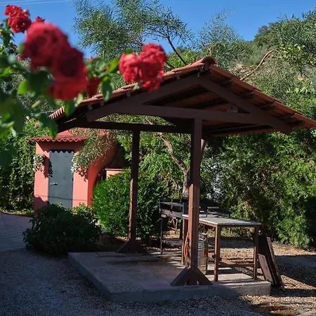 Сasa de vacaciones Basilio Constantina